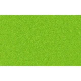 Ursus, Tonzeichenpapier 130gr - apfelgrün