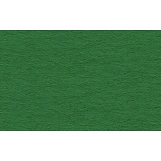 Ursus, Tonkarton 220gr 50x70cm - dunkelgrün