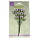 Marianne D, Blumen - Rosen light lavender