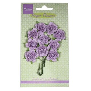 Marianne D, Blumen - Carnations light lavender