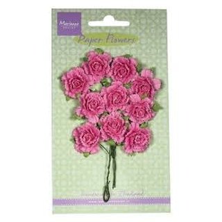 Marianne D, Blumen - Carnations bright pink