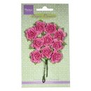 Marianne D, Blumen - Carnations bright pink