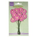 Marianne D, Blumen - Daisies bright pink